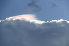 In The Clouds