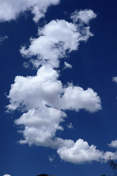 In The Clouds