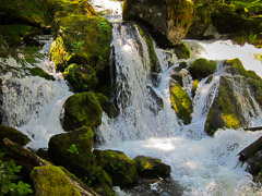 Image Gallery