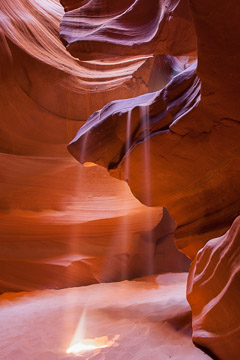 Arizona
