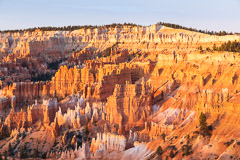 Bryce National Park