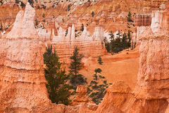 Bryce National Park