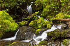 Olympic National Park