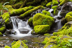 Olympic National Park