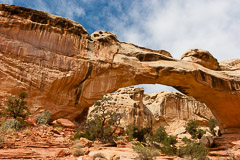Capital Reef National Park