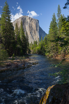 Yosemite National Park