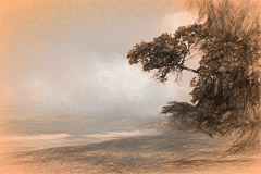 Stylistic Images